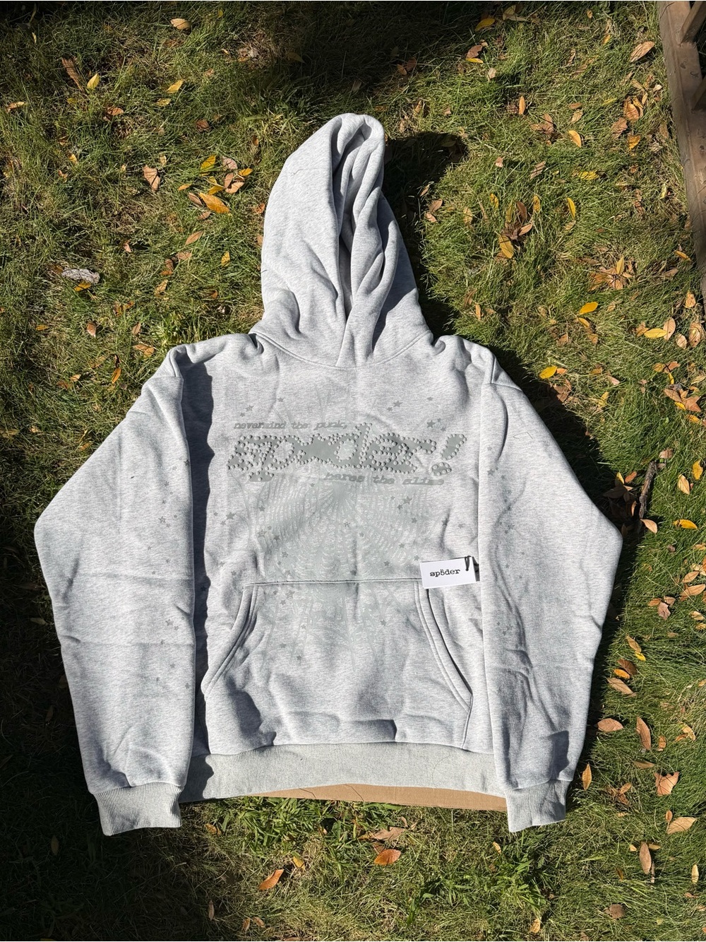 Spider Hoodie - gray